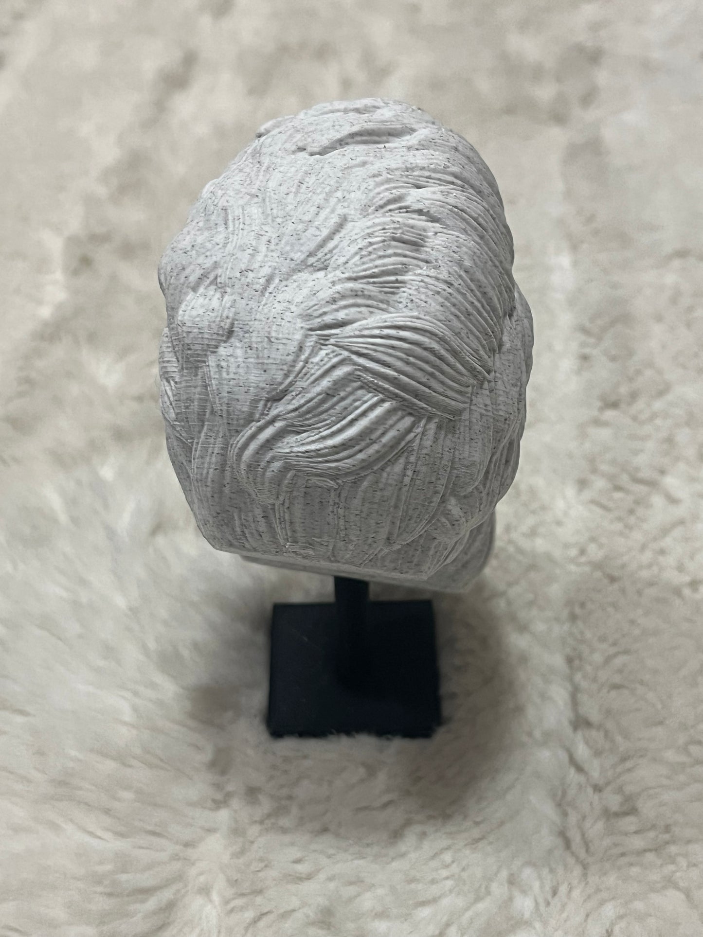 Bearded Skeleton 3D Print