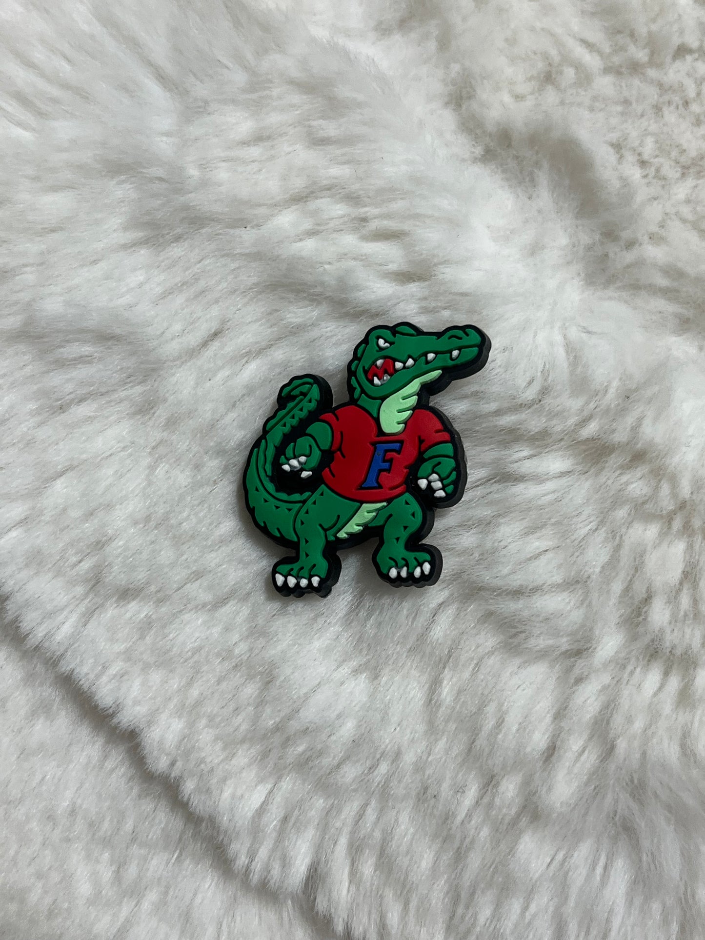 Florida Gators Croc Charms