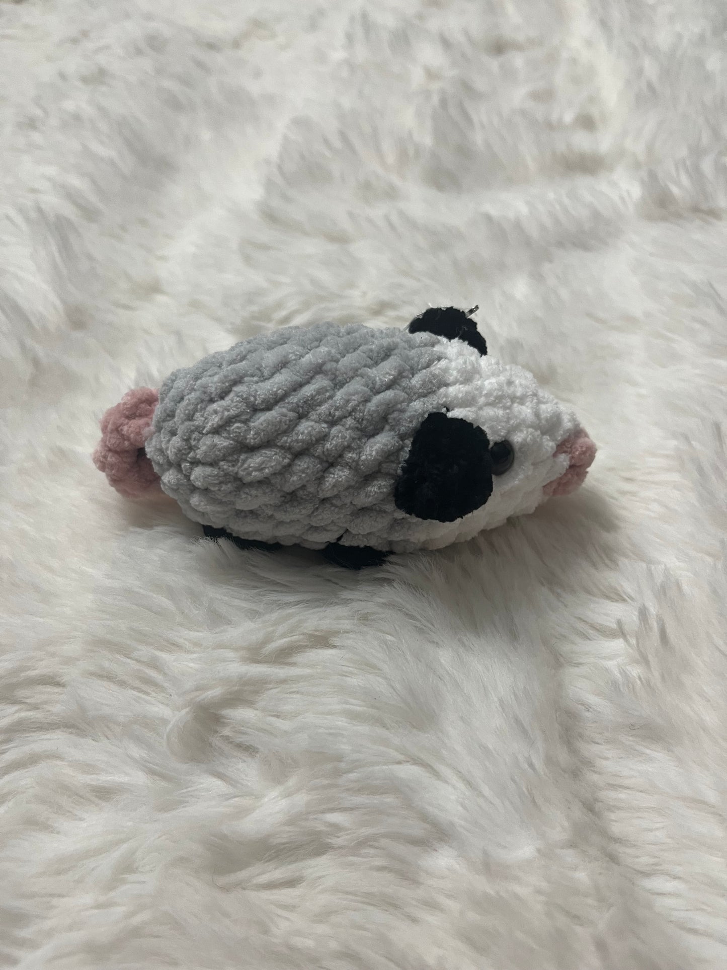 Ollie the Opossum