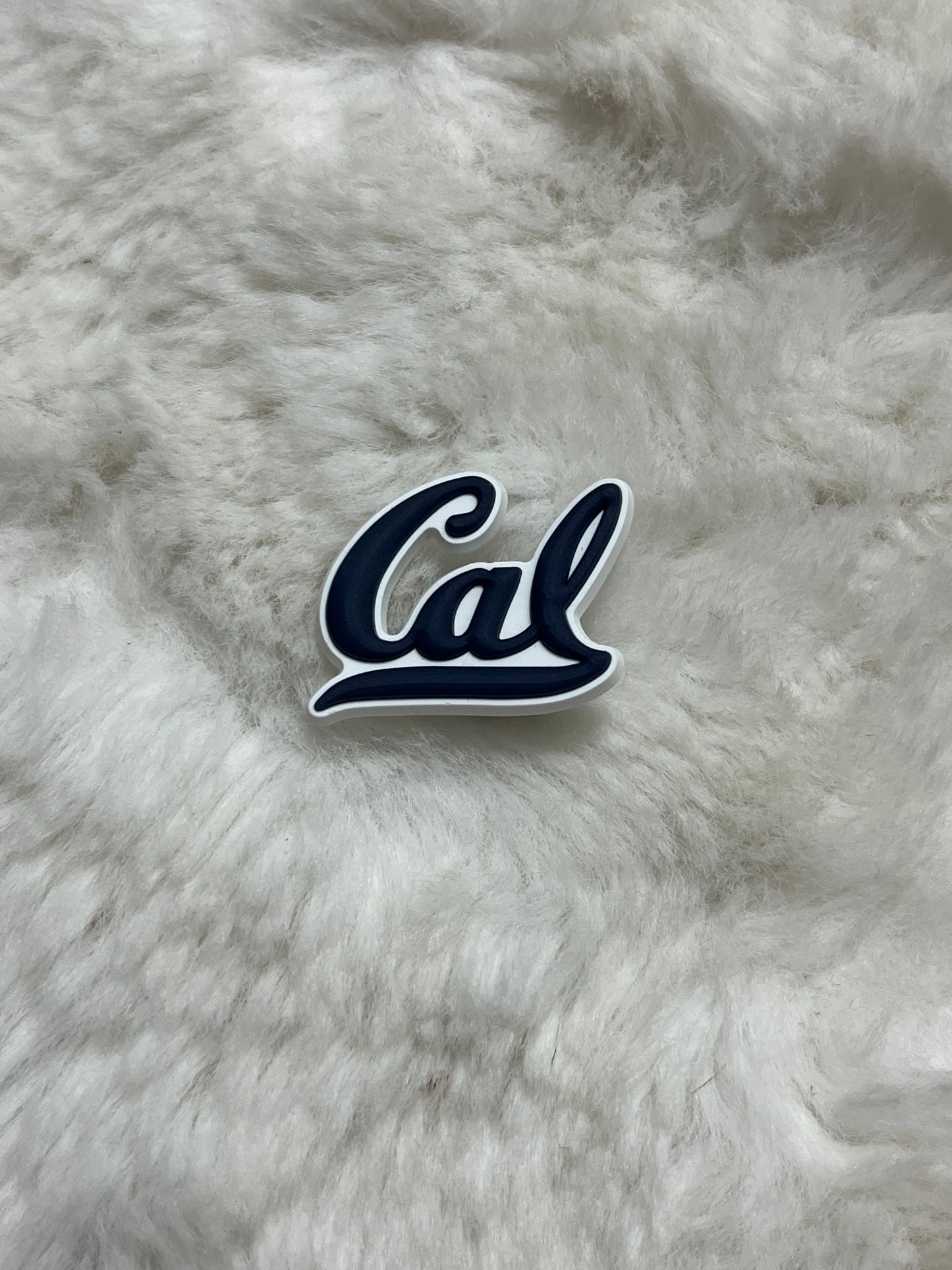University of California Croc Charm