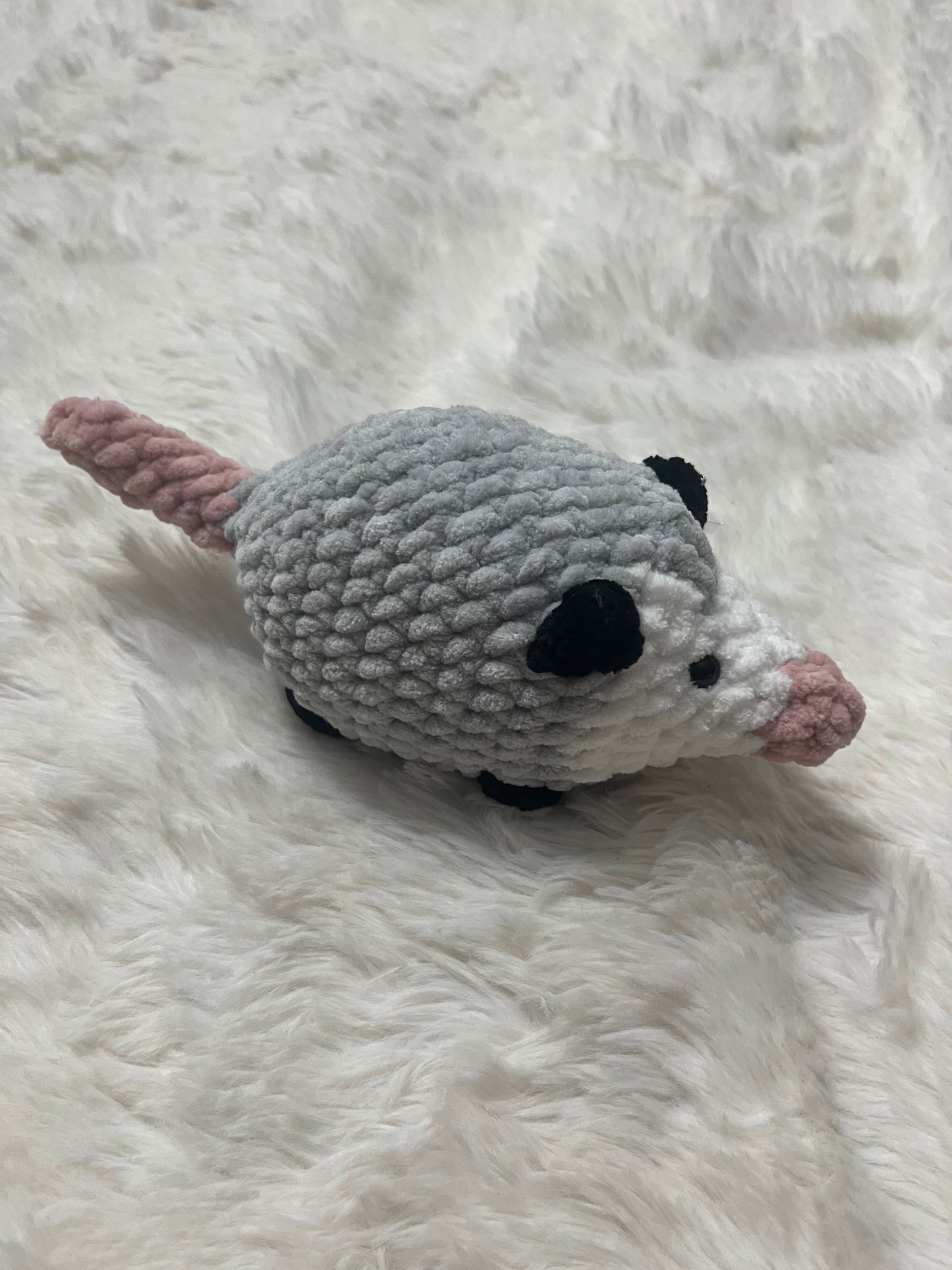 Ollie the Opossum