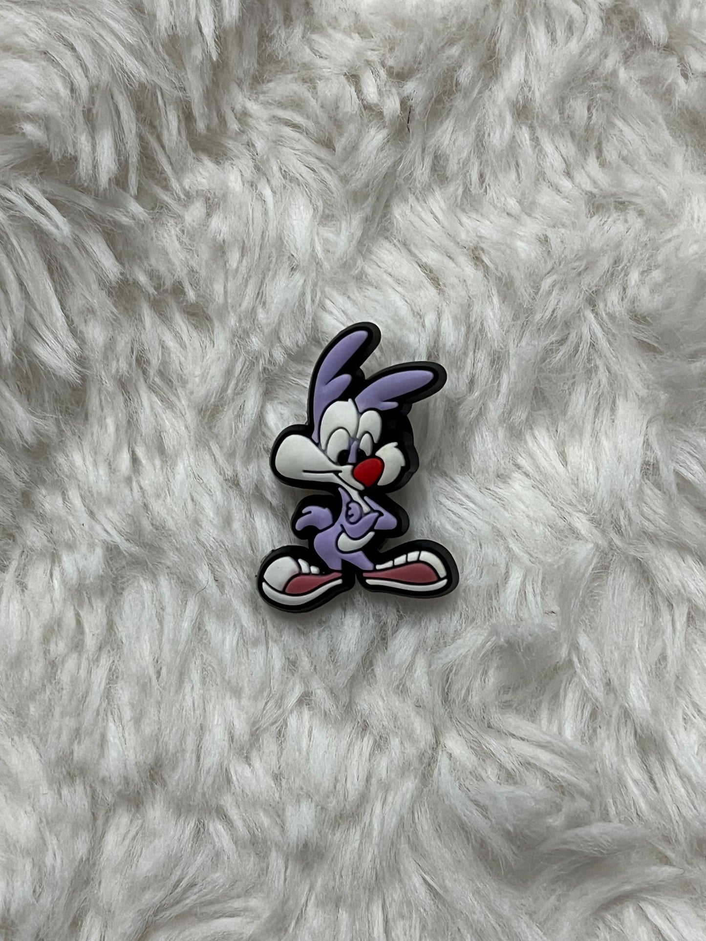 Tiny Toons Shoe Charms