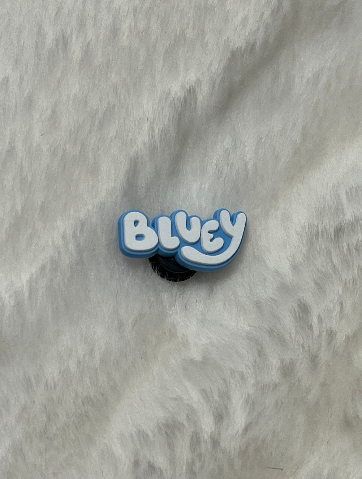 Bluey Shoe Charms