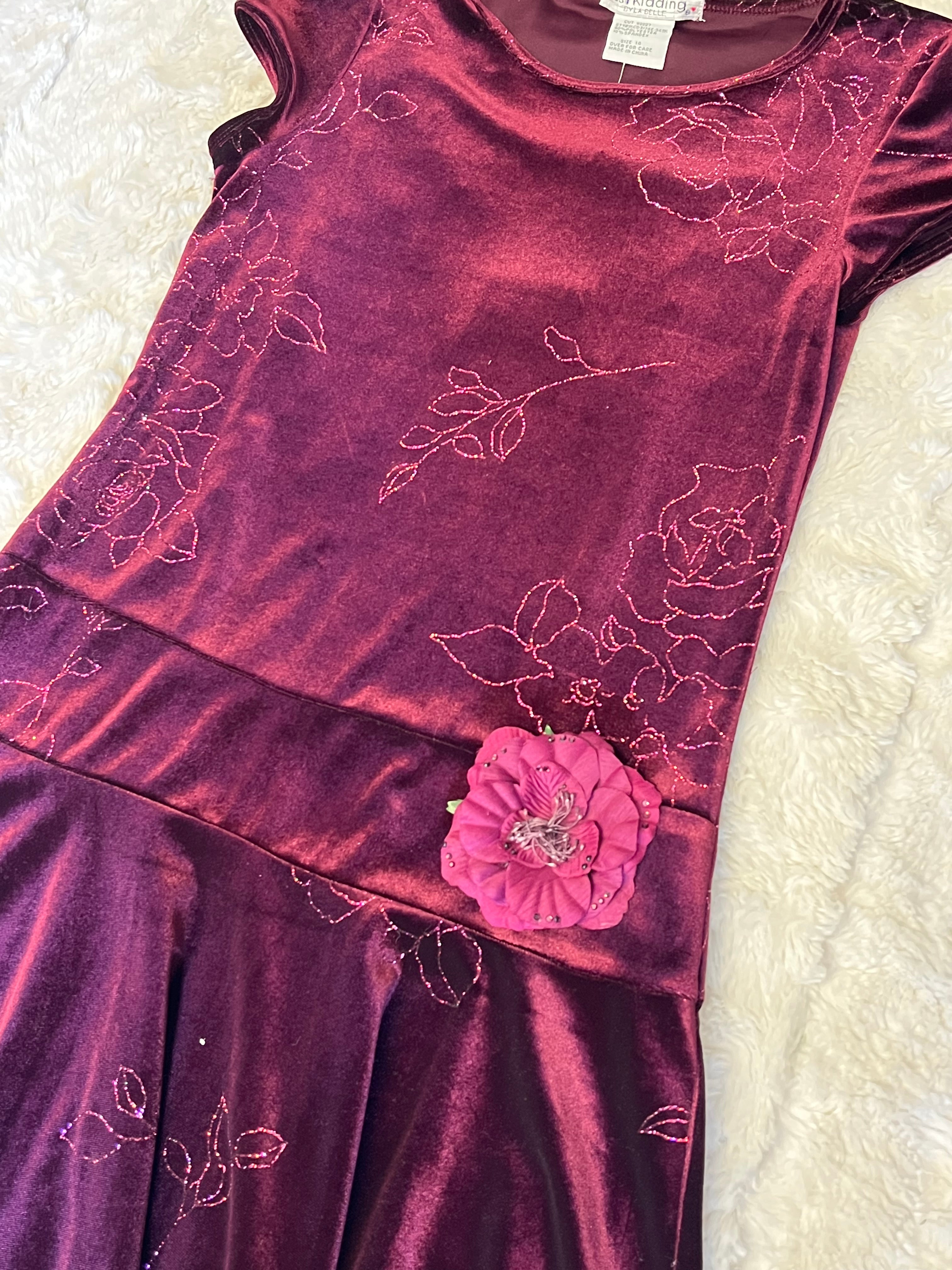 Deep Wine Velvet Dress