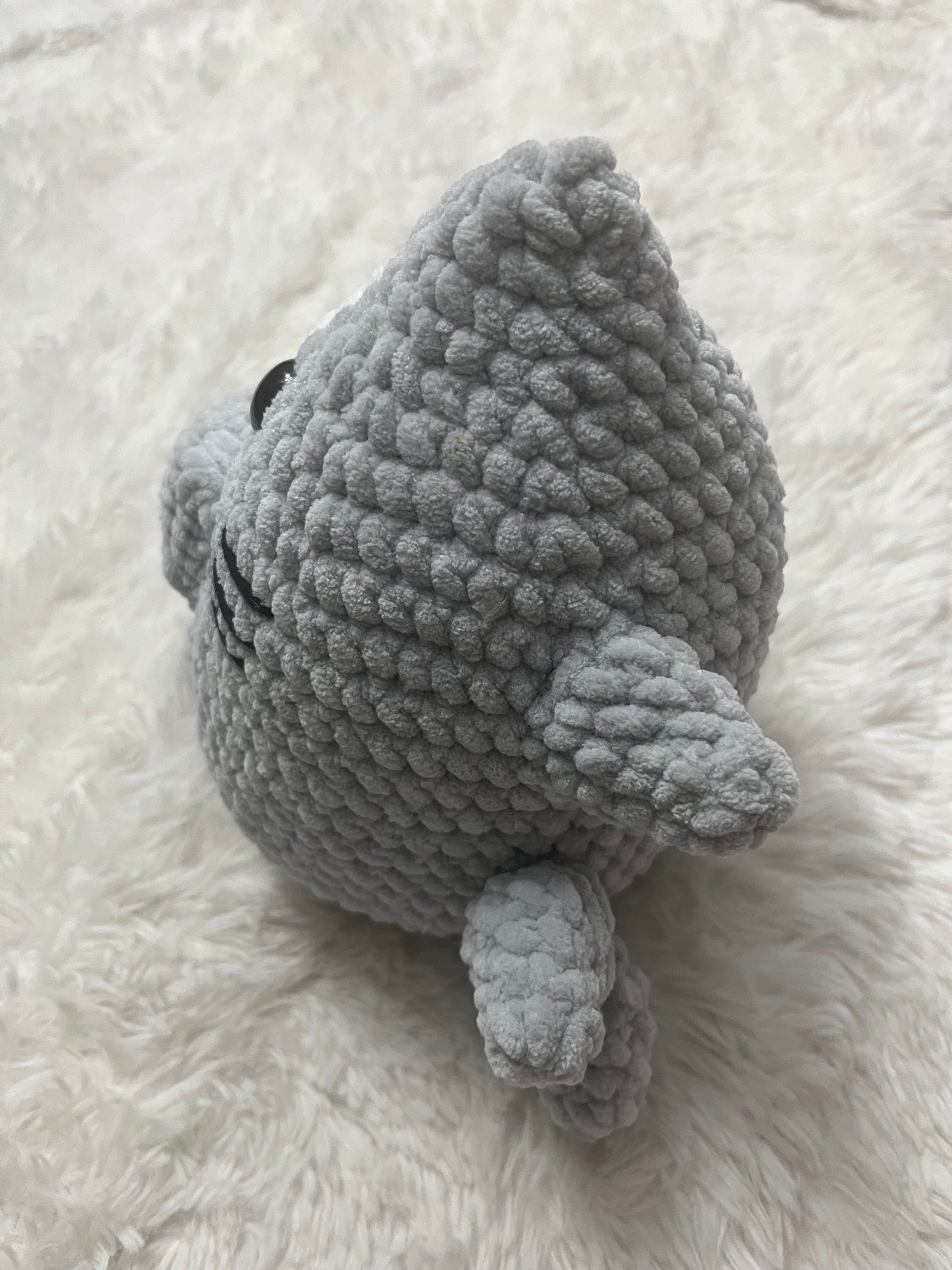 Sammy the Shark