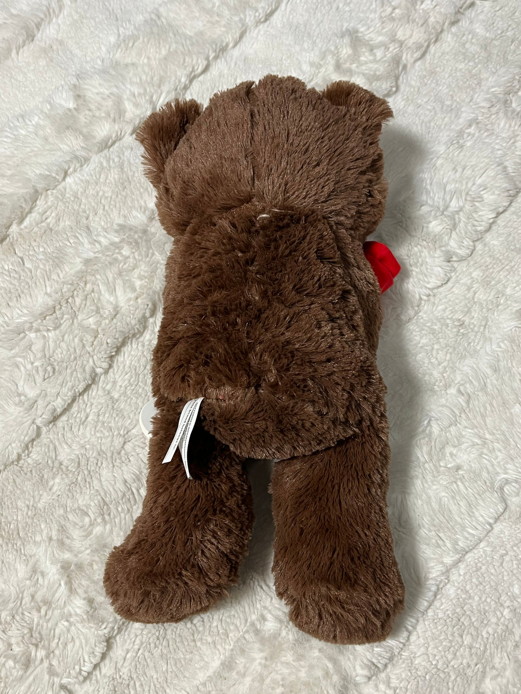 Bear Plushie