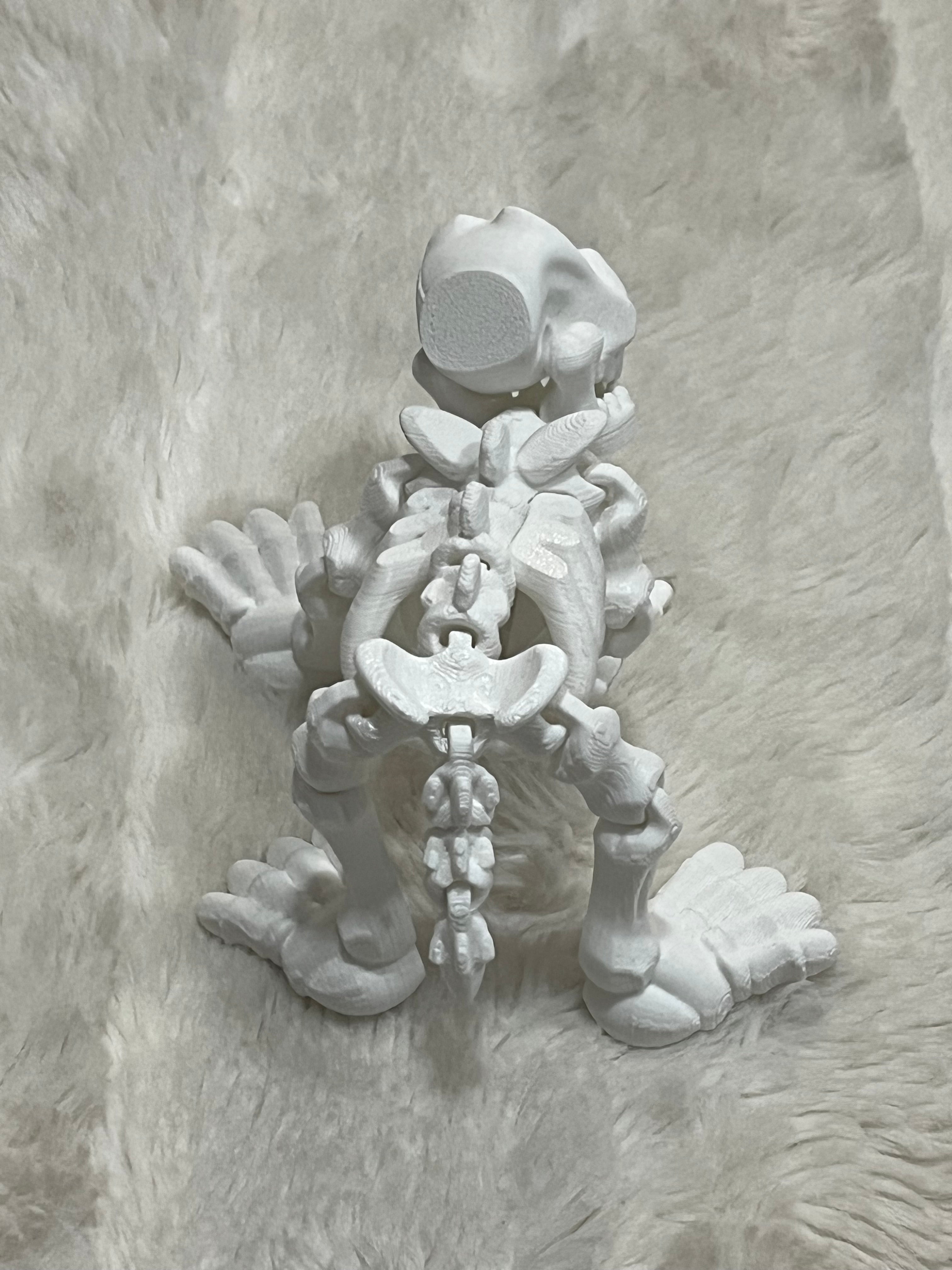 Dinosaur Skeleton 3D Print