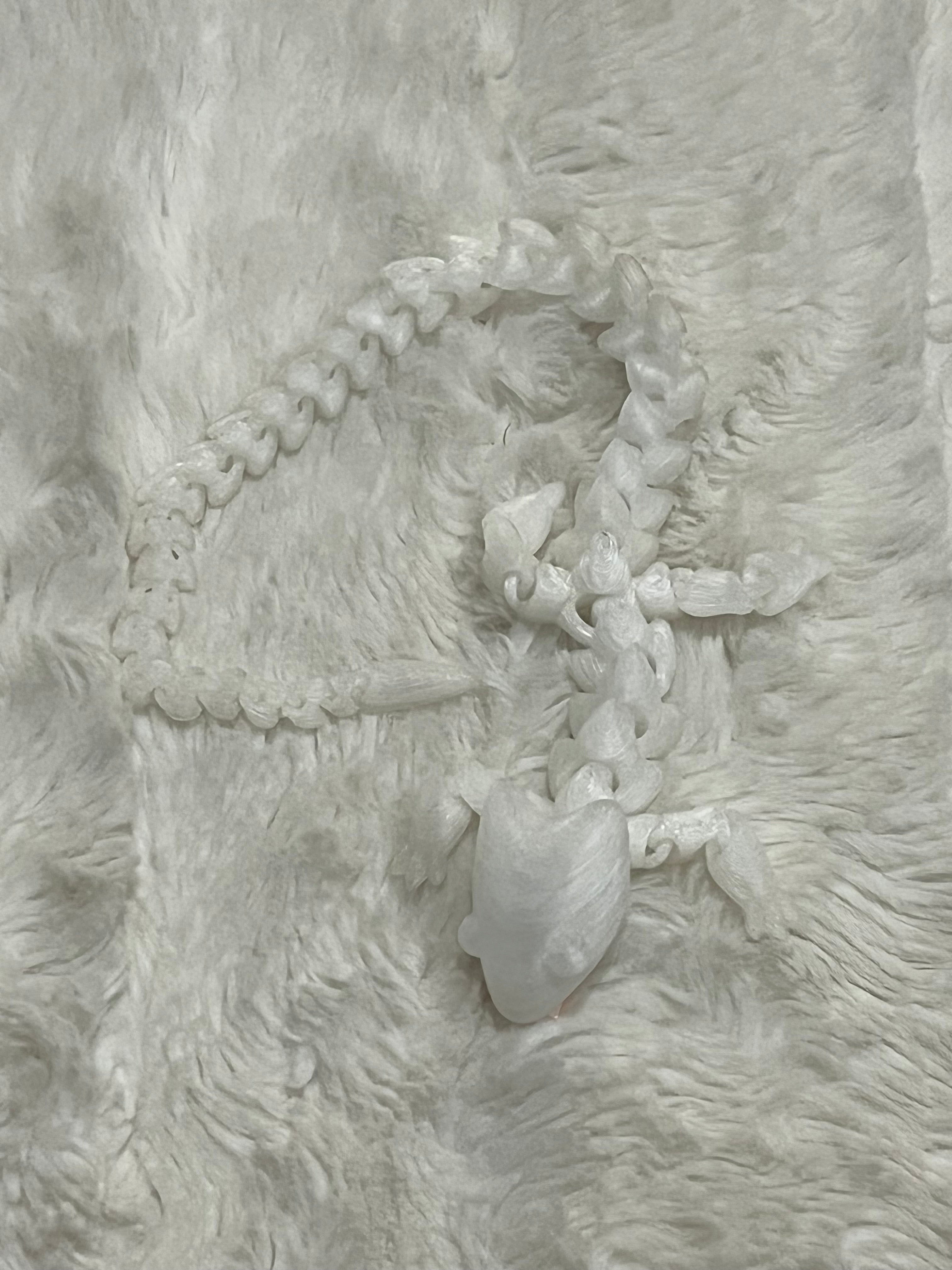 Ghostglide Dragon 3D Print