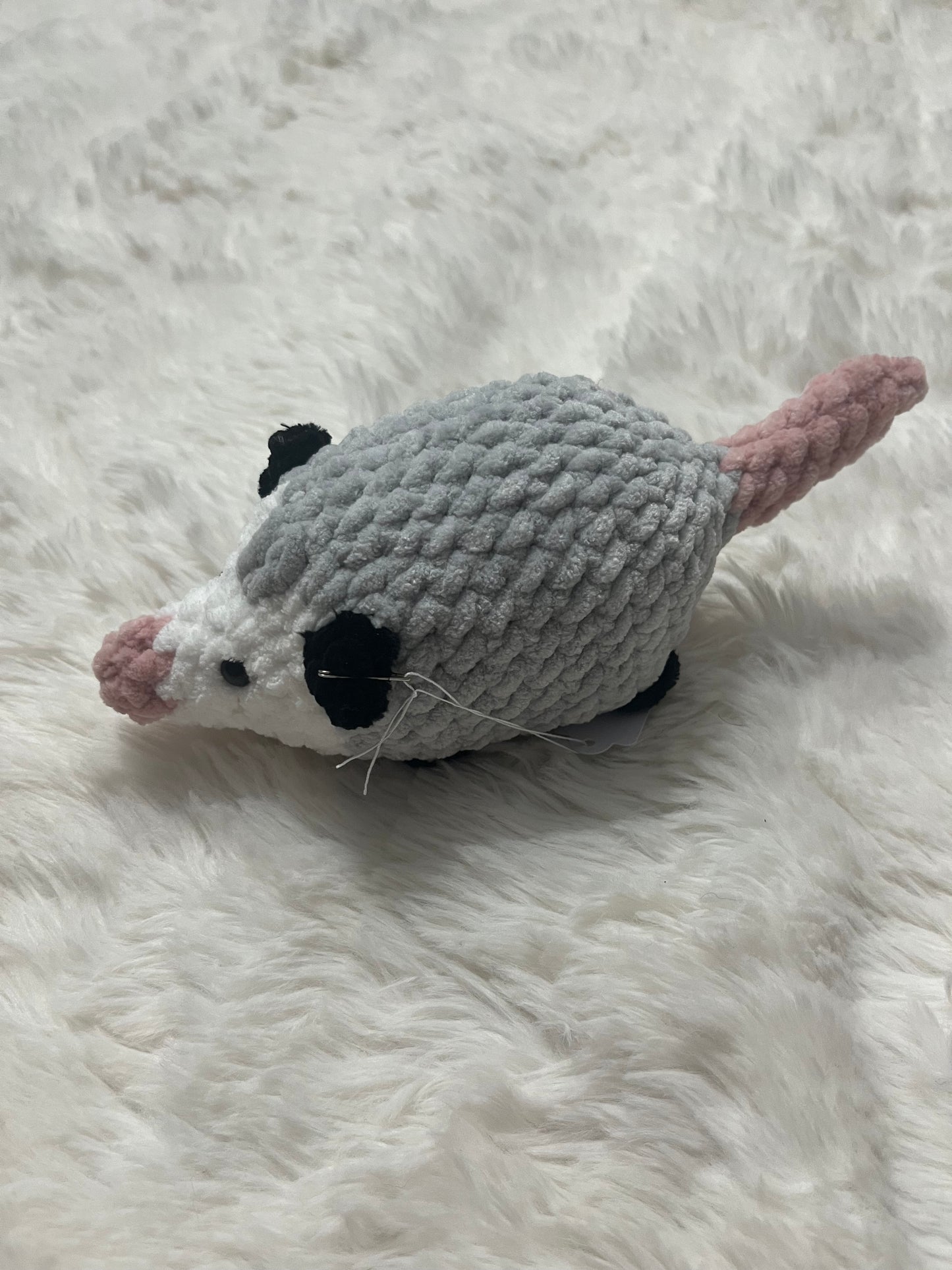 Ollie the Opossum