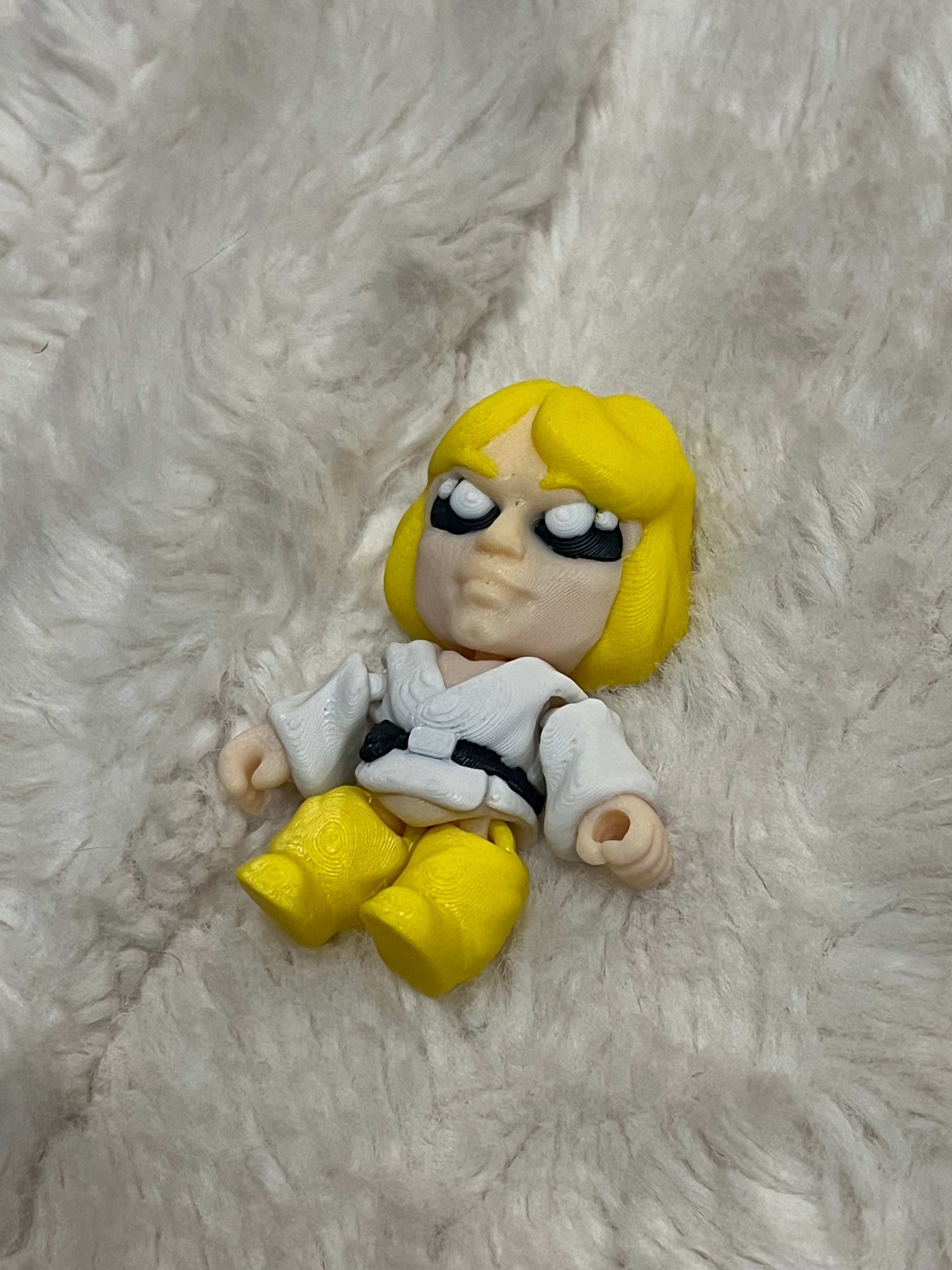 Luke Skywalker Mini 3D Print