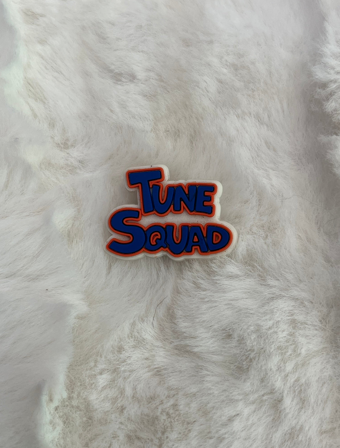 Space Jam Croc Charms