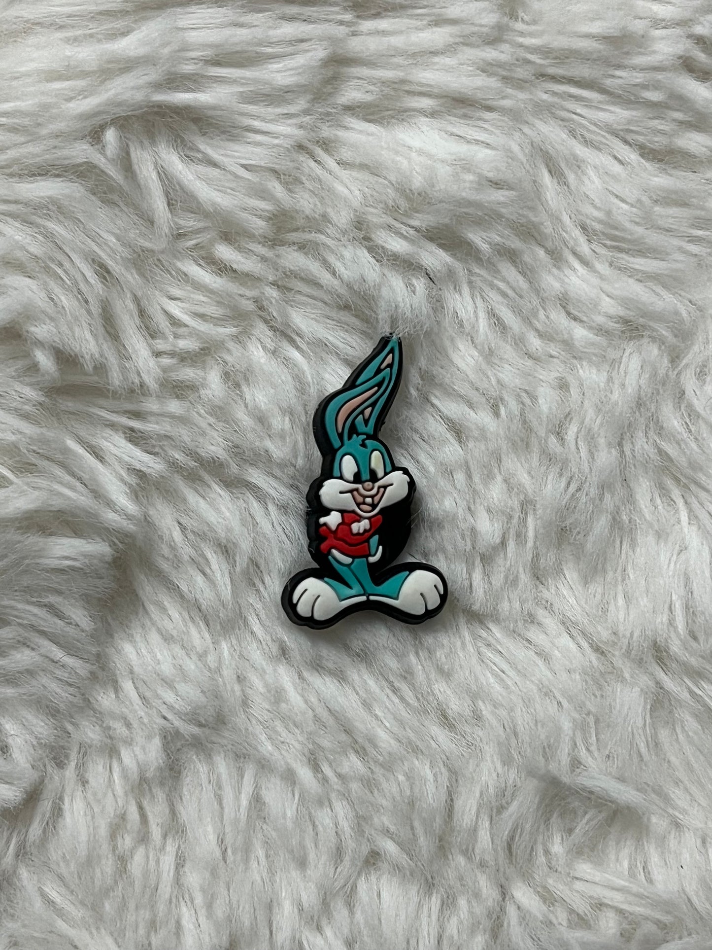 Tiny Toons Shoe Charms