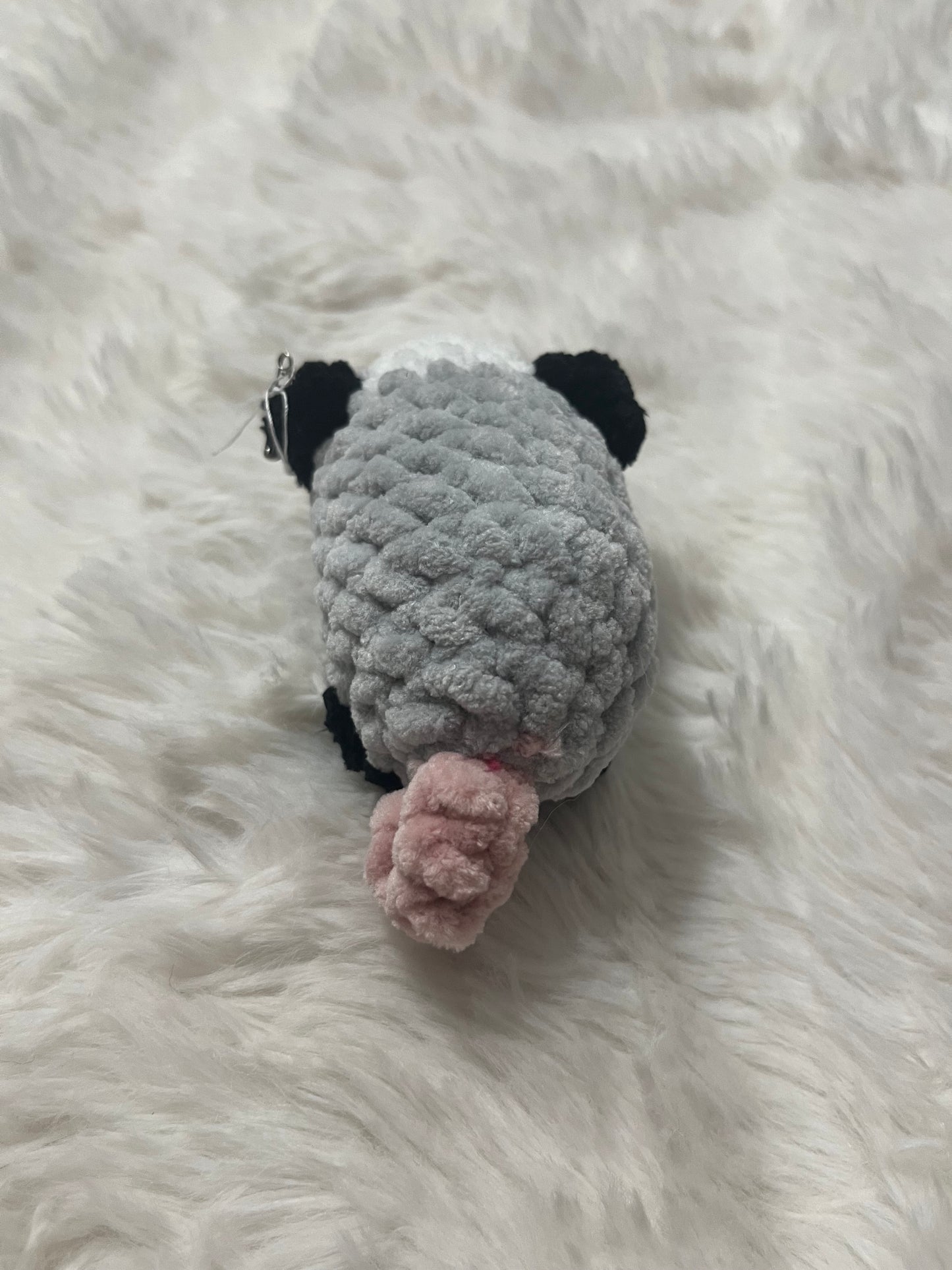 Ollie the Opossum
