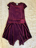 Deep Wine Velvet Dress