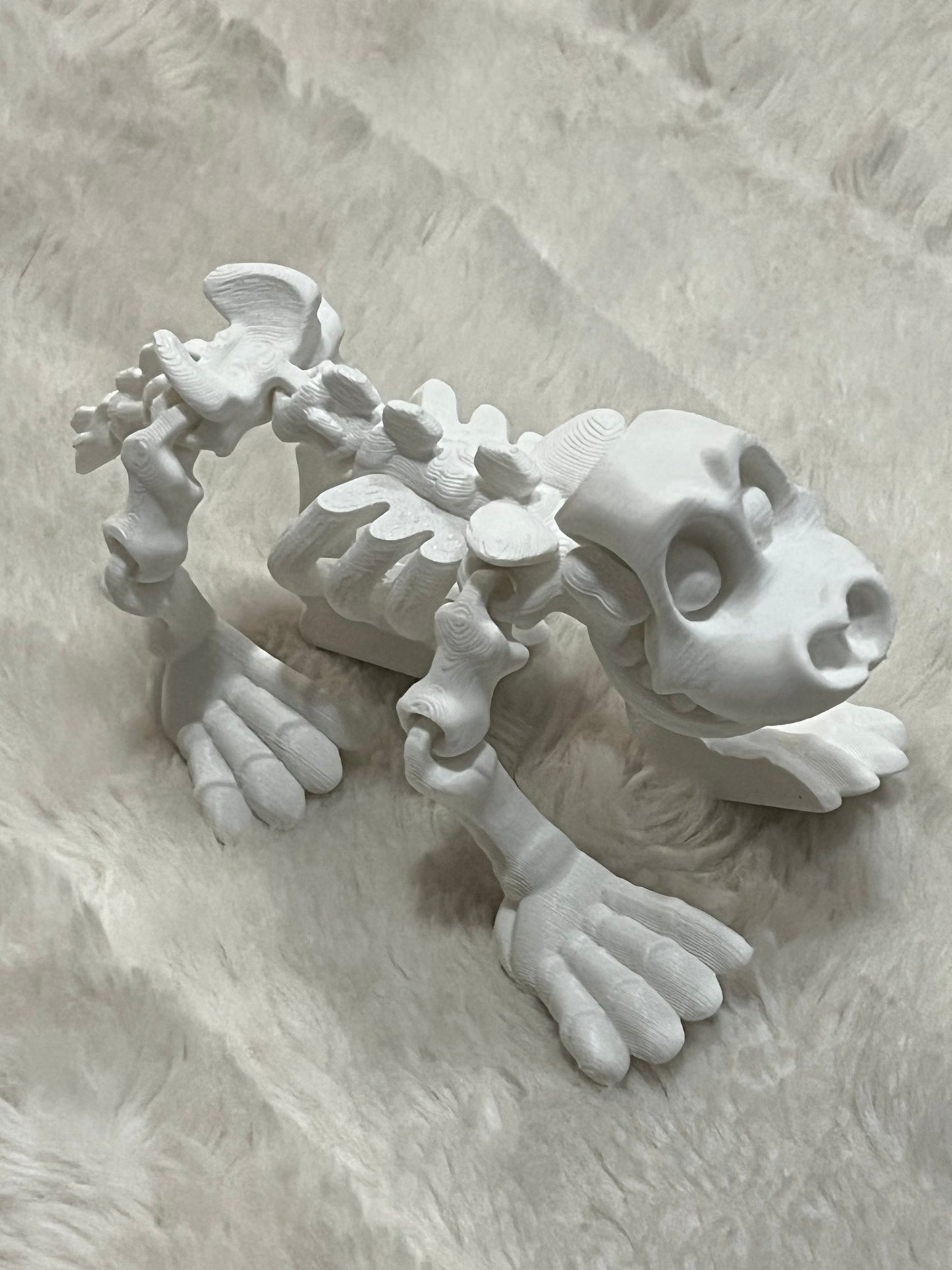 Dinosaur Skeleton 3D Print