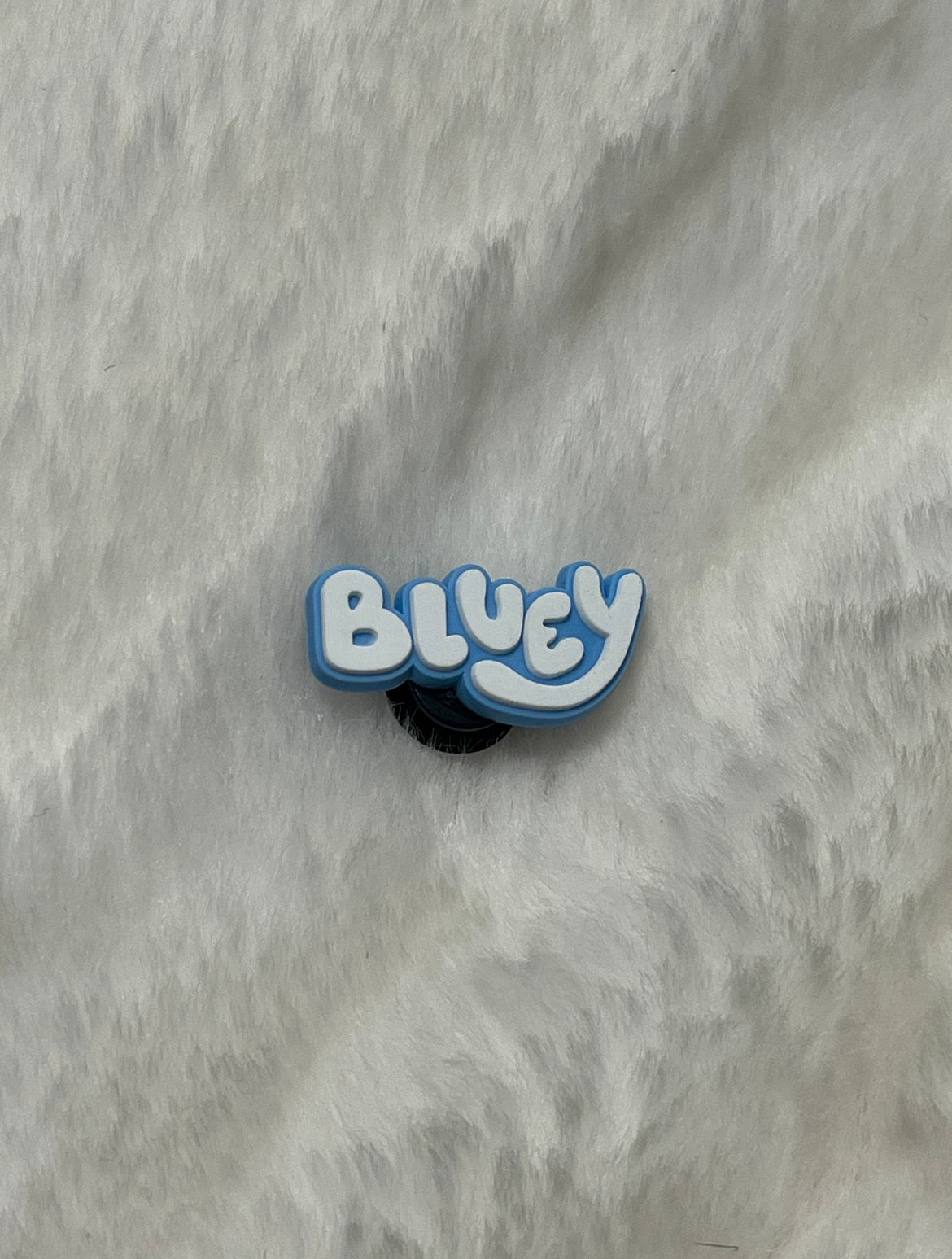 Bluey Shoe Charms