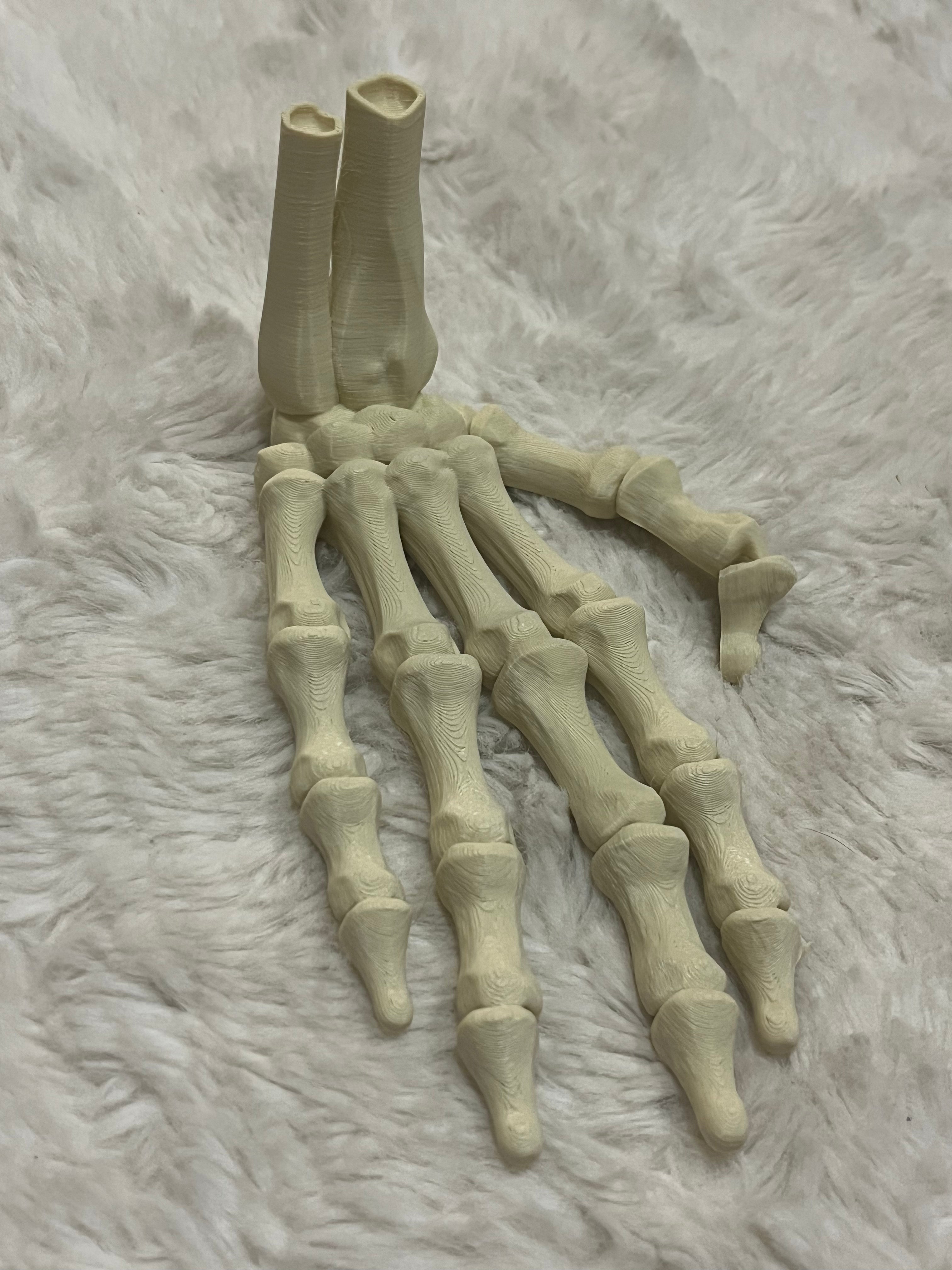Hand 3D Print