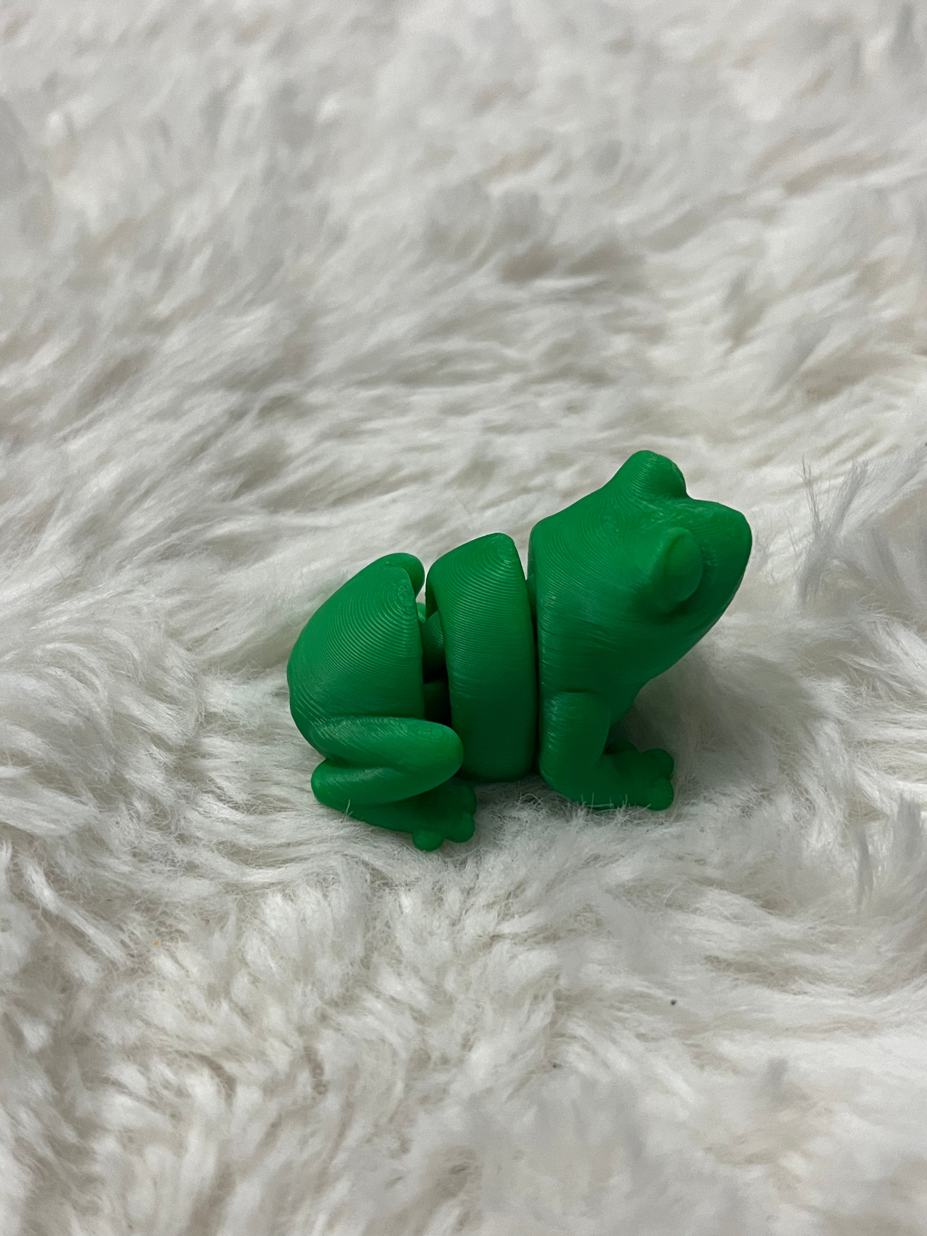 Frog 3D Print