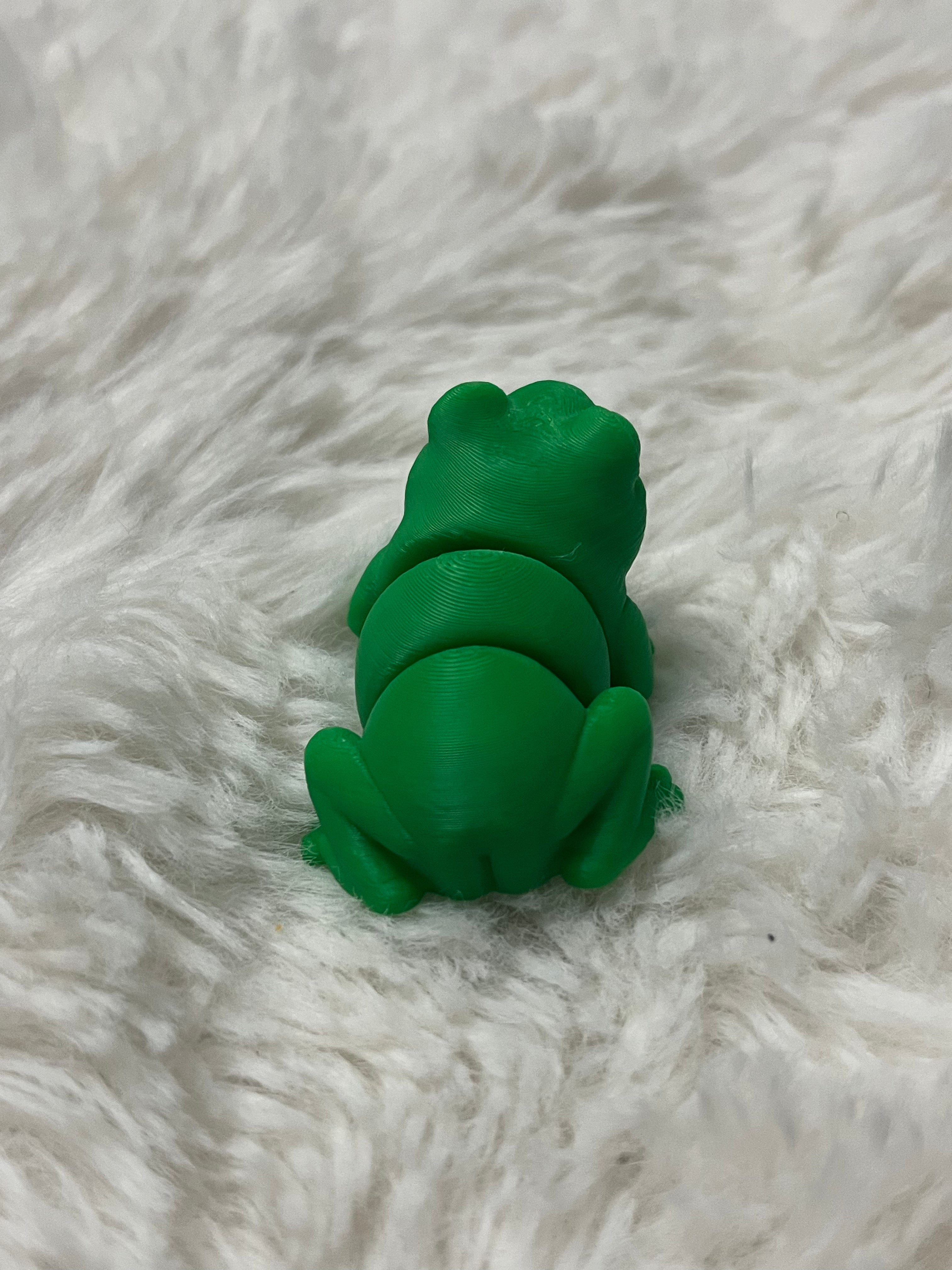 Frog 3D Print